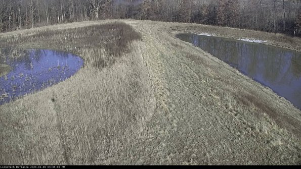 Cell 4 to Basin_24-02-06_15-36-00-97