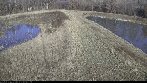 Cell 4 to Basin_24-02-06_16-09-29-95