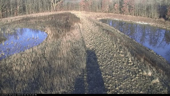 Cell 4 to Basin_24-02-06_17-16-28-96