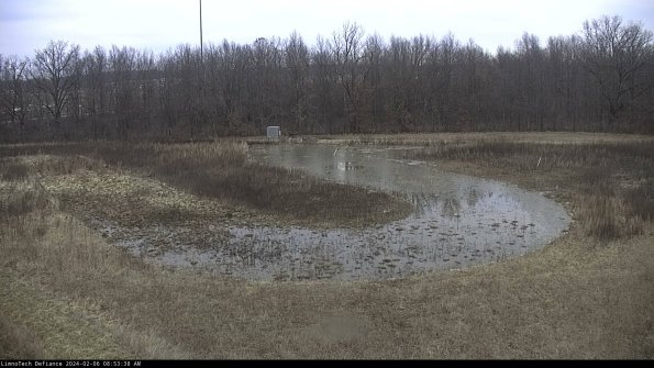 Cell 4_24-02-06_08-53-38-95