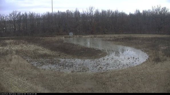 Cell 4_24-02-06_10-00-37-94