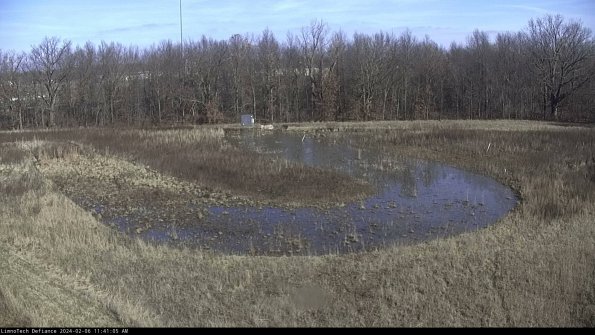 Cell 4_24-02-06_11-41-05-95