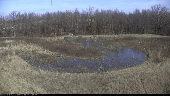 Cell 4_24-02-06_12-14-34-94