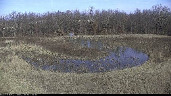 Cell 4_24-02-06_12-48-03-95