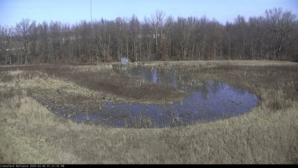 Cell 4_24-02-06_13-21-32-97