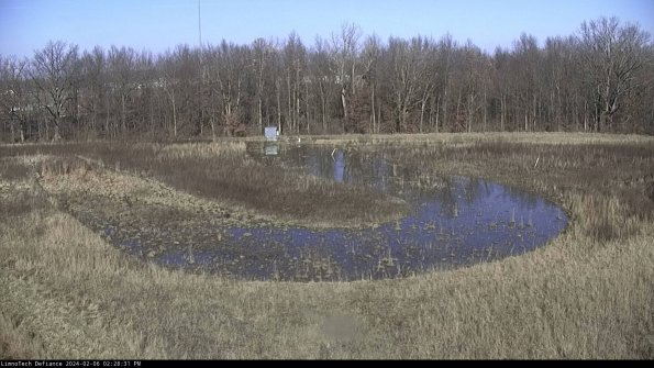 Cell 4_24-02-06_14-28-31-97