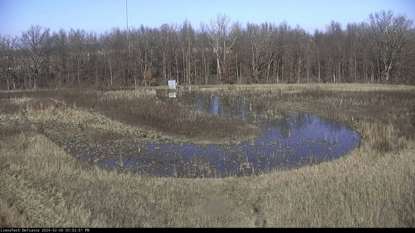 Cell 4_24-02-06_15-02-01-96