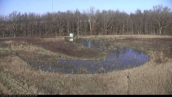 Cell 4_24-02-06_15-35-30-94