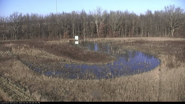 Cell 4_24-02-06_16-08-59-99