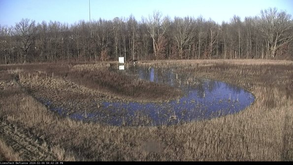 Cell 4_24-02-06_16-42-28-94