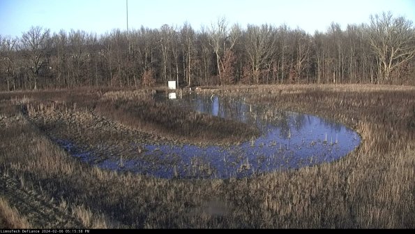 Cell 4_24-02-06_17-15-58-96