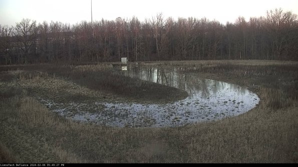 Cell 4_24-02-06_17-49-27-98