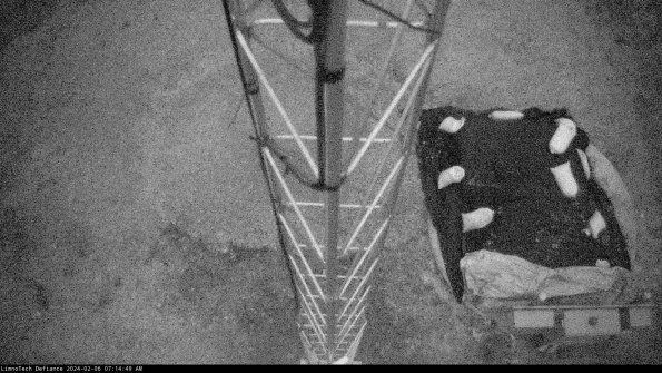 Hatch_24-02-06_07-14-49-95