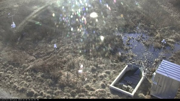 Weather & Flume_24-02-06_16-43-56-16