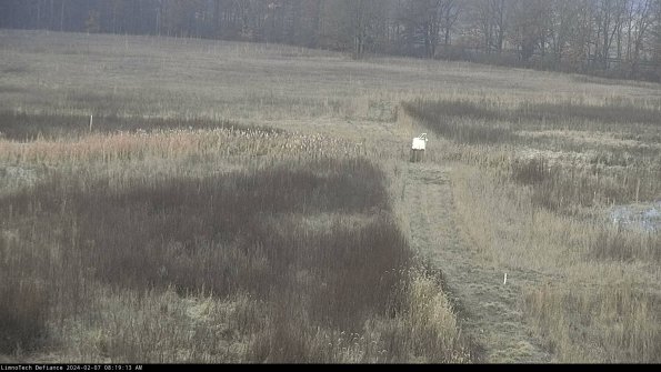 Cell 1 to 2_24-02-07_08-19-14-00