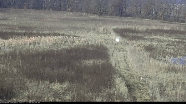 Cell 1 to 2_24-02-07_09-59-40-94