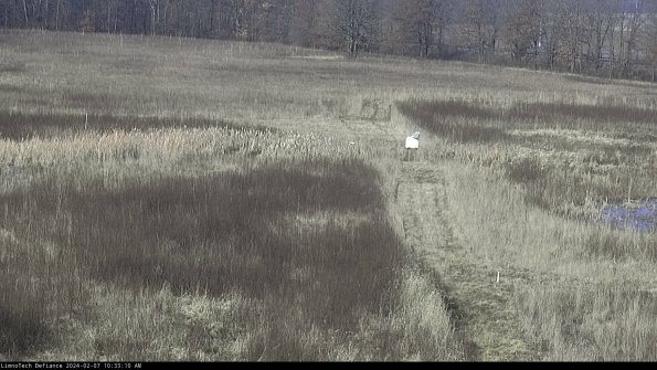 Cell 1 to 2_24-02-07_10-33-10-93