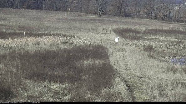 Cell 1 to 2_24-02-07_11-06-38-94