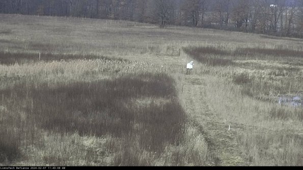 Cell 1 to 2_24-02-07_11-40-08-96