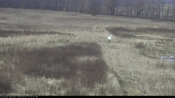 Cell 1 to 2_24-02-07_12-13-37-94