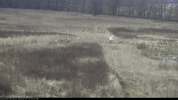 Cell 1 to 2_24-02-07_12-47-07-93