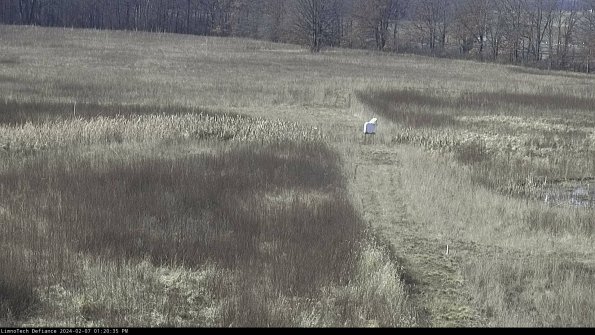 Cell 1 to 2_24-02-07_13-20-35-95