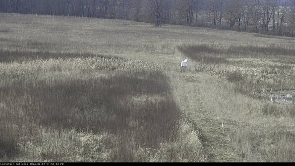 Cell 1 to 2_24-02-07_13-54-04-93