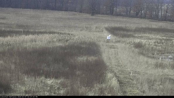 Cell 1 to 2_24-02-07_14-27-33-95