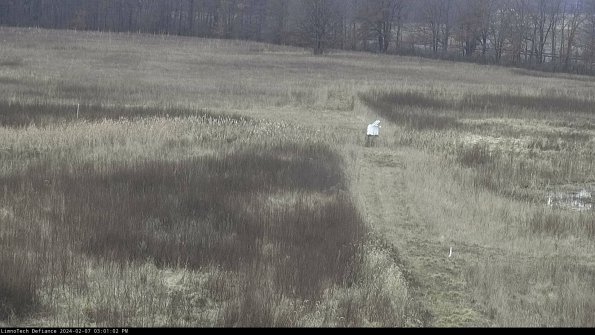 Cell 1 to 2_24-02-07_15-01-02-93