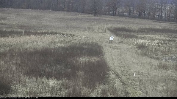 Cell 1 to 2_24-02-07_16-41-31-95