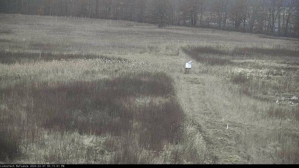 Cell 1 to 2_24-02-07_17-15-01-97