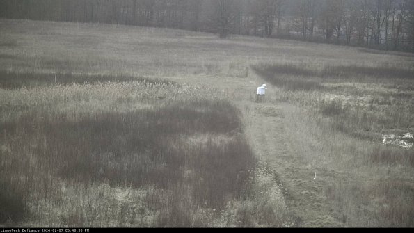 Cell 1 to 2_24-02-07_17-48-30-95