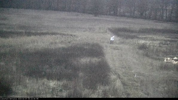 Cell 1 to 2_24-02-07_18-22-00-94