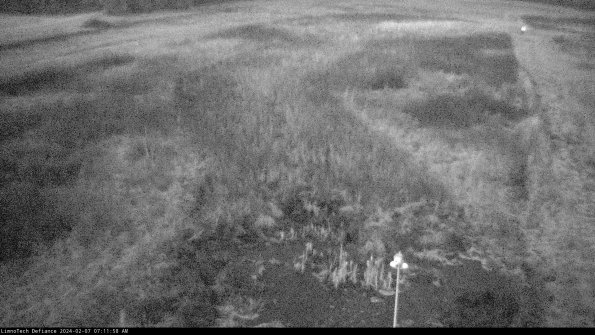 Cell 1_24-02-07_07-11-58-96