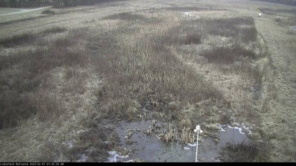 Cell 1_24-02-07_07-45-30-94