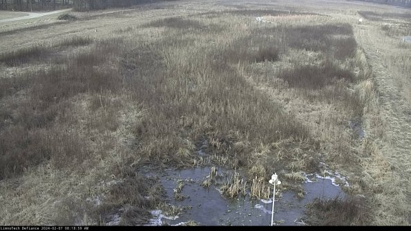 Cell 1_24-02-07_08-18-59-99