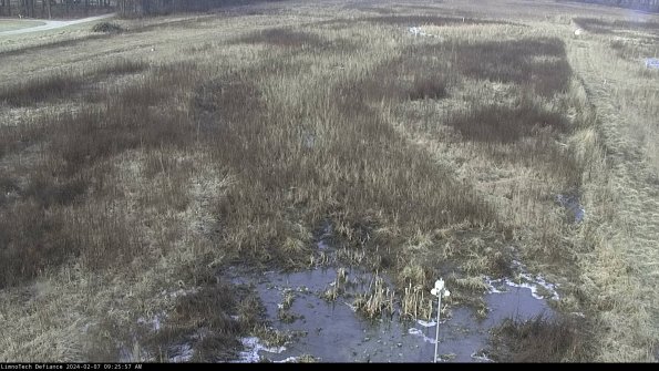 Cell 1_24-02-07_09-25-57-95