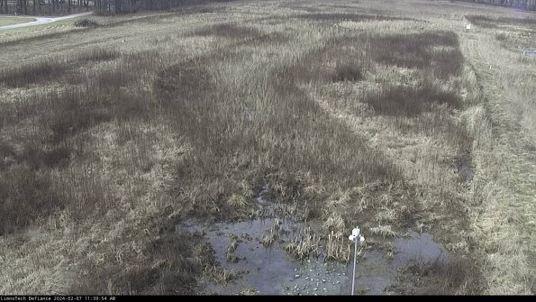 Cell 1_24-02-07_11-39-54-94