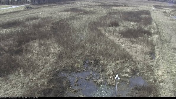 Cell 1_24-02-07_12-13-23-93