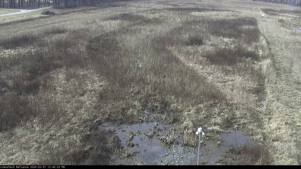 Cell 1_24-02-07_12-46-53-95