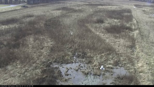 Cell 1_24-02-07_13-53-50-95