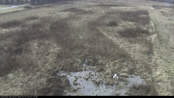 Cell 1_24-02-07_14-27-19-93