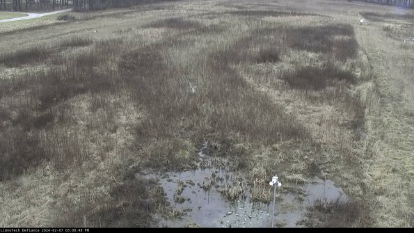 Cell 1_24-02-07_15-00-48-95