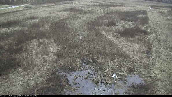 Cell 1_24-02-07_17-14-47-96