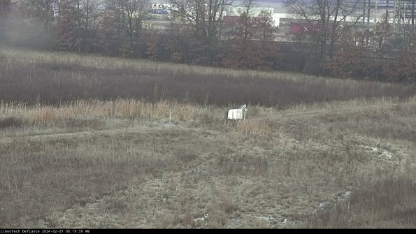 Cell 2 to 3_24-02-07_08-19-40-03