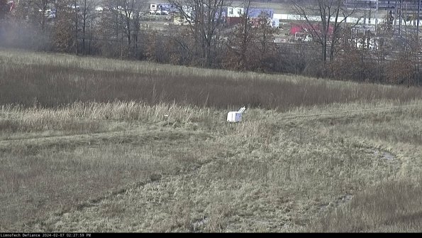 Cell 2 to 3_24-02-07_14-28-00-14