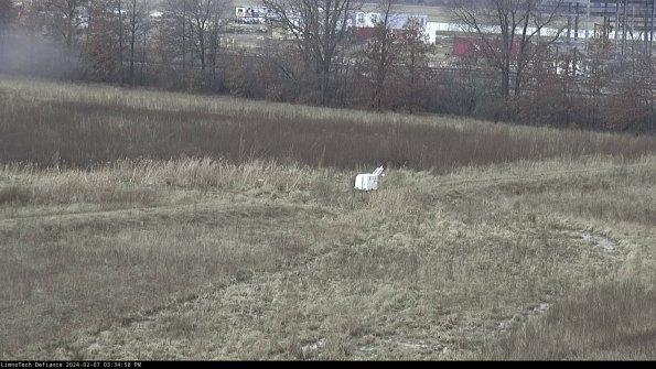 Cell 2 to 3_24-02-07_15-34-59-11