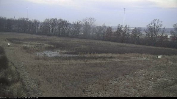 Cell 2_24-02-07_07-45-57-97