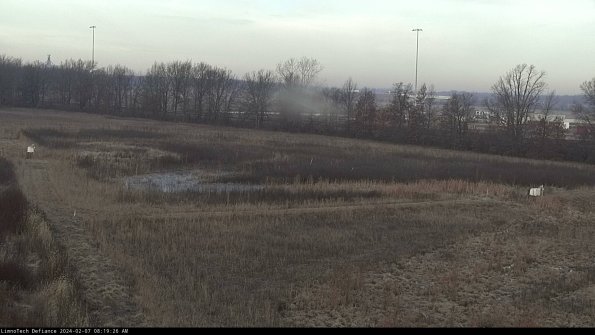 Cell 2_24-02-07_08-19-27-05