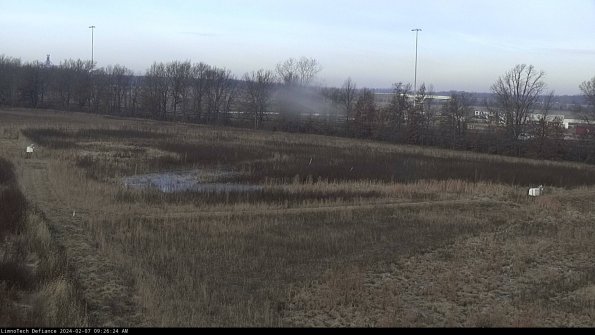 Cell 2_24-02-07_09-26-25-01